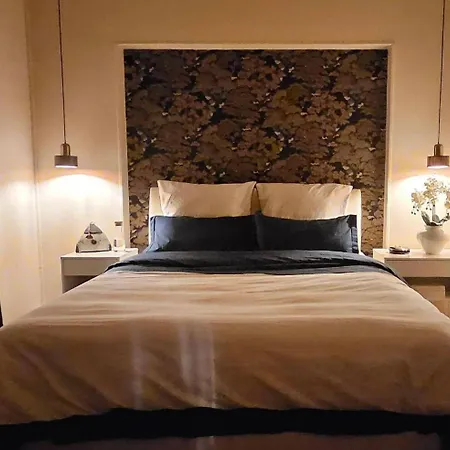 Sarreulysse De Standing Au Centre De