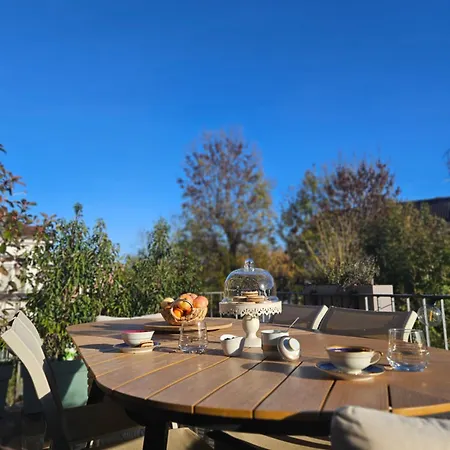 Sarreulysse De Standing Au Centre De *