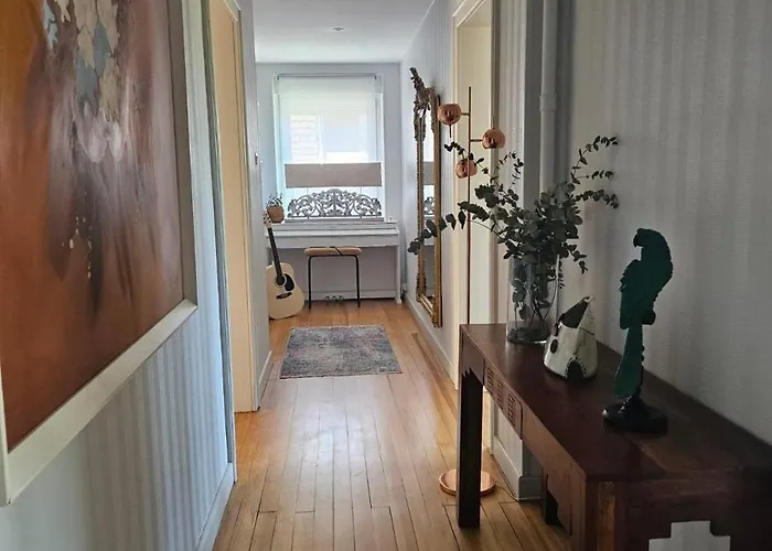 Sarreulysse De Standing Au Centre De