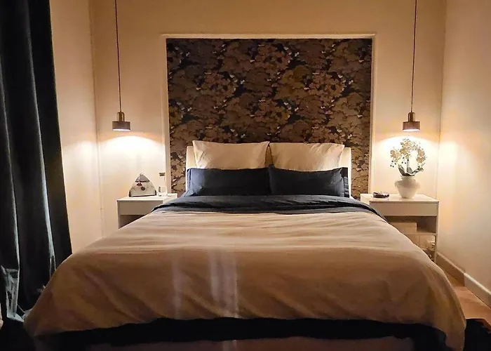 Sarreulysse De Standing Au Centre De