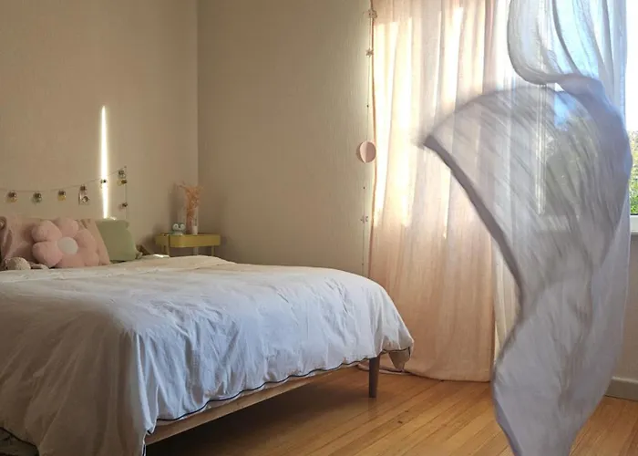 Apartmán Sarreulysse De Standing Au Centre De Sarreguemines